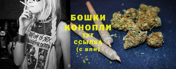 Альфа ПВП Новозыбков