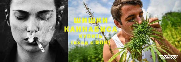 Альфа ПВП Новозыбков