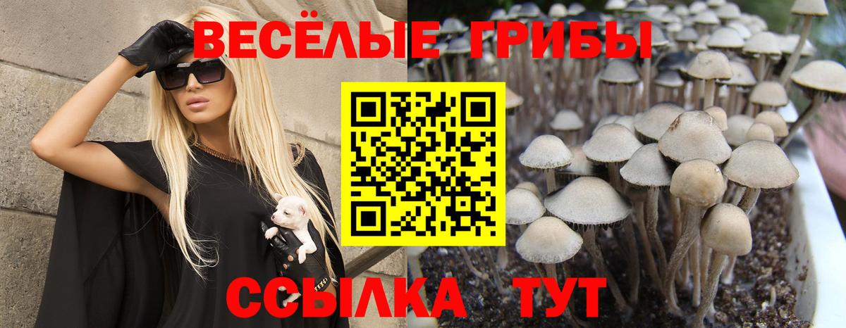 Галлюциногенные грибы мицелий Кировск