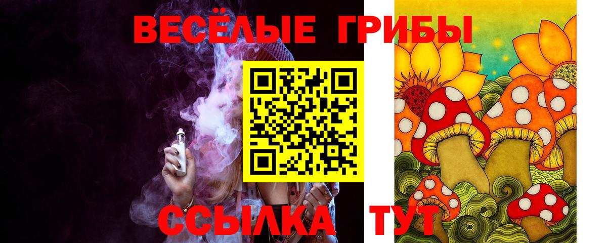 Псилоцибиновые грибы Cubensis  Вход с VPN  Кировск 