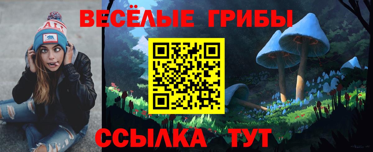 МЕФ Кировск