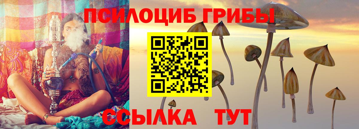 Альфа ПВП Кировск